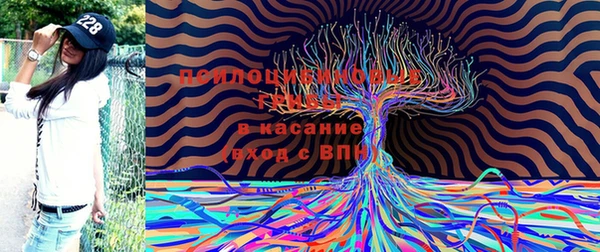 марки lsd Белоозёрский